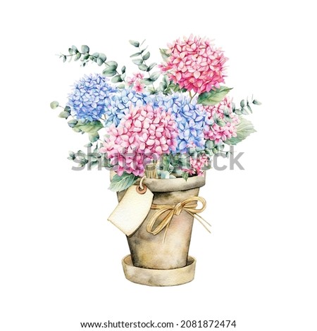 Watercolor bouquet in a pot. Summer postcard with pink and blue hydrangea flowers, eucalyptus branches on a white background. Illustration for your design.