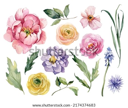 Similar – Image, Stock Photo ranunculus Nature Plant