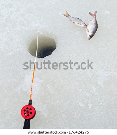 Winter fishing rod and fish on ice