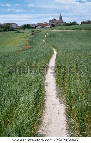 Similar – Image, Stock Photo small path that goes into the forest of tarragona