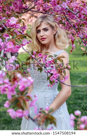 Similar – Image, Stock Photo The delicate Princess Sakura rose petals as nature background