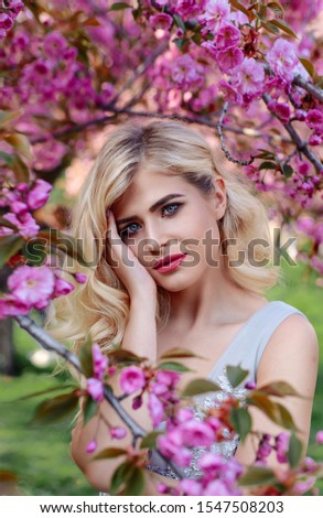 Similar – Image, Stock Photo The delicate Princess Sakura rose petals as nature background