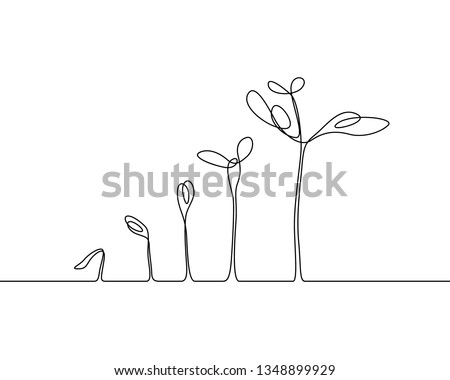 Continuous one line drawing Plant growth process. Vector illustration