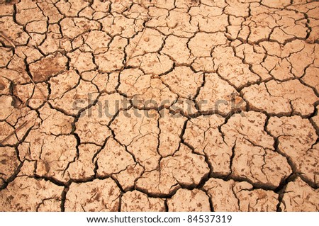 Dry land texture, background image.