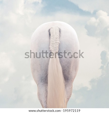 White horse tail with braid on fluffy clouds background.