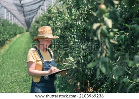 Female farmer writing production notes in apple fruit orchard, woman farm worker with straw hat and bib overalls jeans examining plantation and writing reminder comments in notepad Imagine de stoc © 