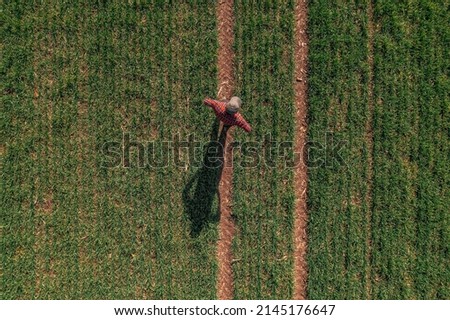 Similar – Image, Stock Photo Aerial view of farmer cleaning dirt of combine in agricultural field