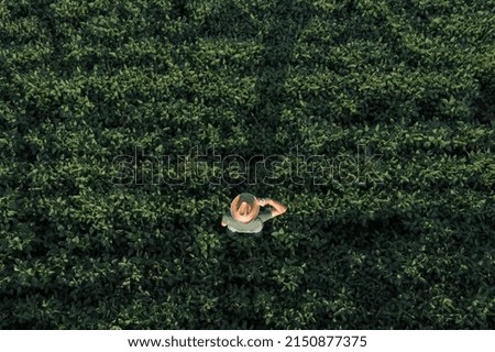 Image, Stock Photo Aerial view of farmer cleaning dirt of combine in agricultural field
