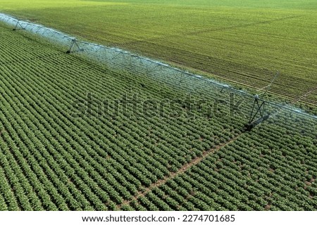 Similar – Image, Stock Photo Aerial View Of Vegetable Garden. Potato Plantation At Summer Day. Village Garden Beds