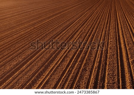 Similar – Image, Stock Photo Plowed field with tracks under a blue sky