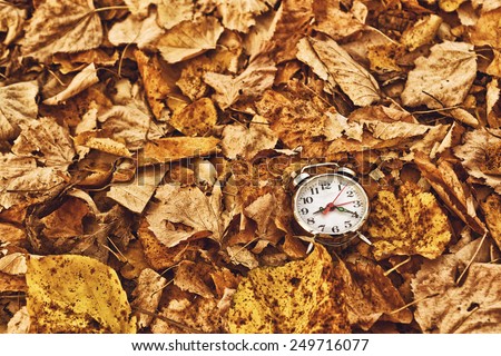 Vintage alarm clock in dry autumn leaves, Passing of time and season change concept. Selective focus.