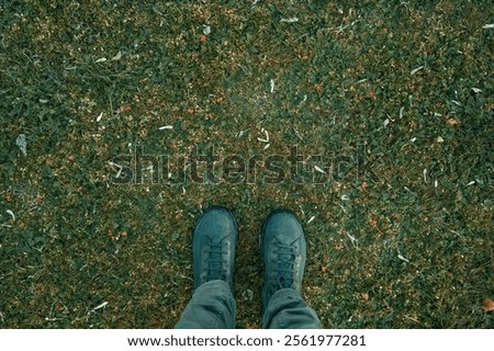 Similar – Image, Stock Photo Scenic from above view of mountain