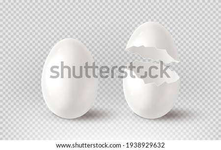 White cracked egg isolated on checkered background. Realistic egg shells. Vector illustration with 3d decorative object for Easter design.