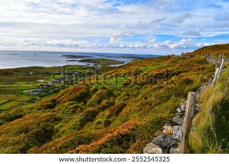 Similar – Foto Bild Connemara Natur Landschaft