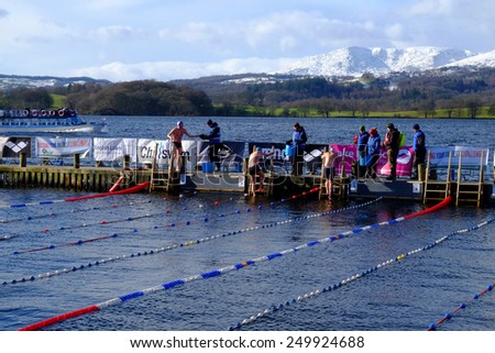 Swimmers entering the water at the Chill Swim event 31.1.15 Lake Windermere English Lake District UK
