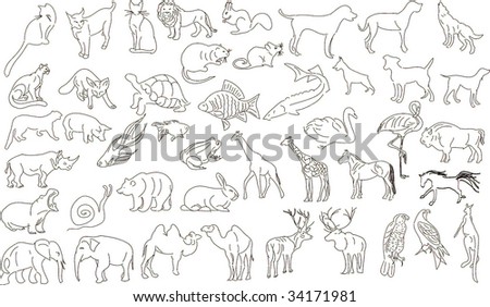 Set Of Vector Animals, Rough Outlines - 34171981 : Shutterstock