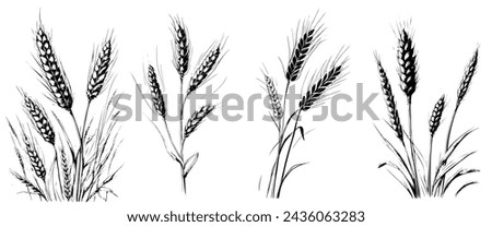 Four different types of grasses are shown in black and white. The grasses are all different sizes and shapes, but they all have a similar texture and look. The image gives off a sense of calm