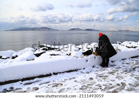 The woman feeding cats at the seaside and snow view photos from Istanbul.