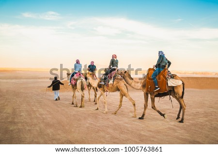 Similar – Image, Stock Photo camels and people going between sand lands in desert in Morocco