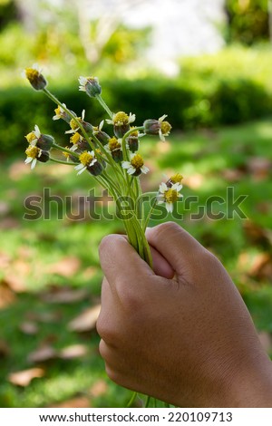 Hand holds flower
