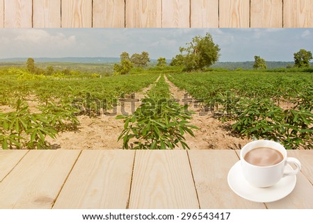 Coffee cup with wood texture on Cassava or manioc farmland agriculture plant field