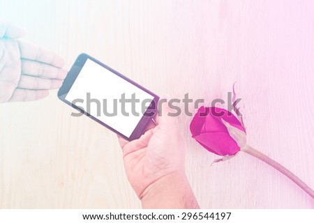 Man hand hold blank touch screen smart phone on background with red roses on wood texture for background. with pink and blue color filter.