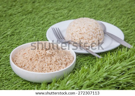 raw jasmine brown rice in white bowl on background of cooked jasmine brown rice, on green grass