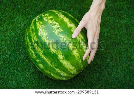 Summer and fresh watermelon topic: human hand touching a watermelon on the grass