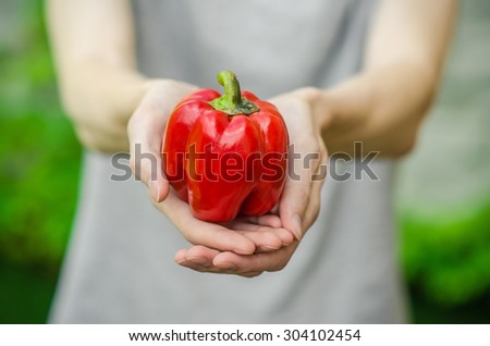 Vegetarians and fresh fruit and vegetables on the nature of the theme: human hand holding a red pepper on a background of green grass