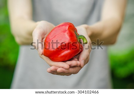 Vegetarians and fresh fruit and vegetables on the nature of the theme: human hand holding a red pepper on a background of green grass