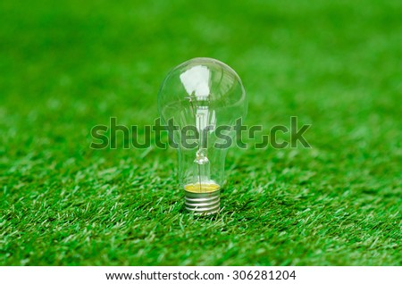 Light bulb lying on green grass