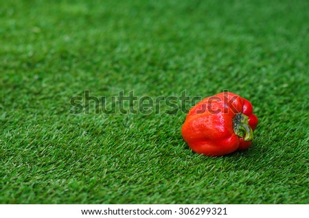 Healthy vegetable food theme: red ripe peppers lying on green grass