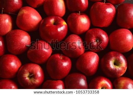 Similar – Image, Stock Photo Ripe red apples from your own tree lie neatly sorted in a wooden box