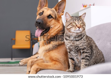 Similar – Image, Stock Photo #AS# Germans love this “Basic Data Protection Regulation”