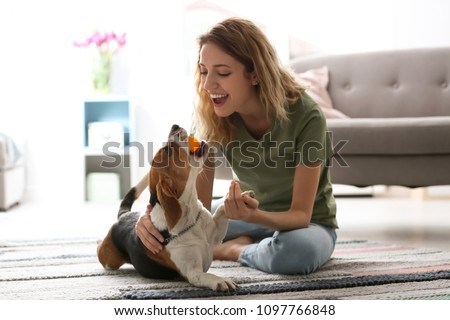 Similar – Image, Stock Photo Woman with dog sits cross-legged in dry late summer meadow