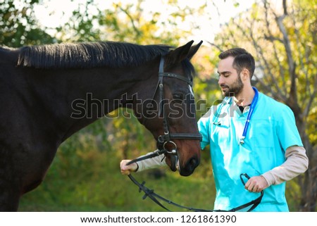 Similar – Image, Stock Photo Beautiful brown horse stallion outdoors