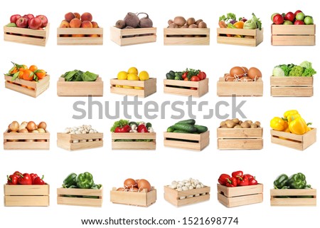 Similar – Image, Stock Photo Mushrooms on a wooden table