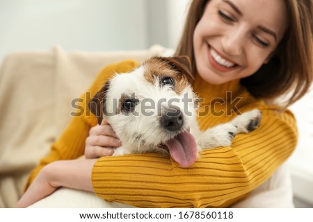 Similar – Foto Bild Frau mit Jack-Russell-Terrier-Welpen im Freien. Beziehungen und Tierpflegekonzept