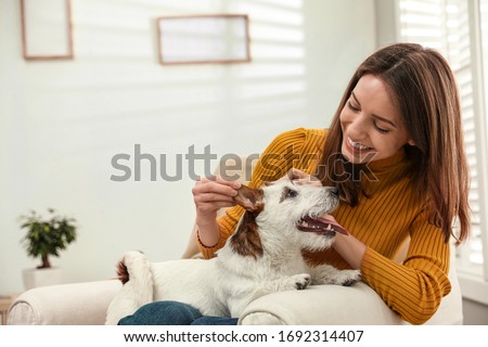 Similar – Image, Stock Photo woman and cute jack russell dog enjoying outdoors at the mountain with snow. winter season