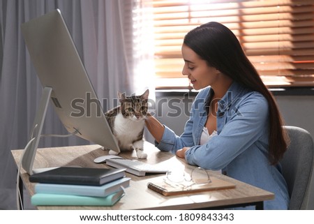 Similar – Image, Stock Photo A young woman strokes a Scottish highland cow with super hairstyle. So the cow has the great hairstyle. You can’t see it on the young woman. But it was great.