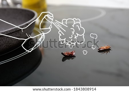 Pest control. Using household insecticide to kill cockroaches at home, closeup. Illustration Stock foto © 