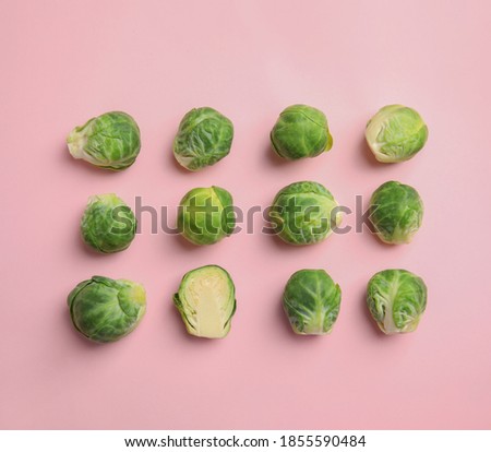 Similar – Image, Stock Photo pink cabbage in a flower vase with strong depth of field