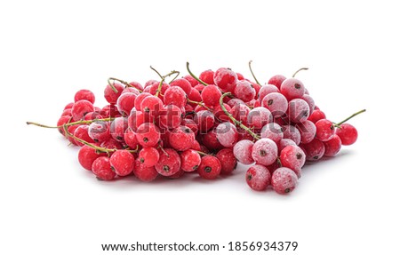 Similar – Image, Stock Photo frozen red berries on a snowball bush