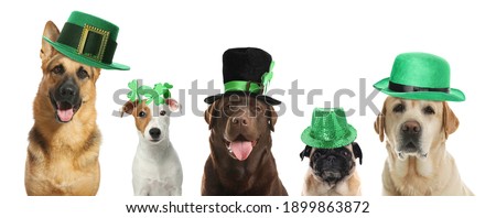 Cute dogs with leprechaun hats on white background, banner design. St. Patrick's Day Stockfoto © 