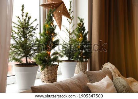 Similar – Image, Stock Photo Christmas tree in pot, watercolour on paper