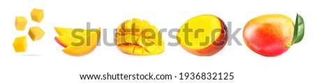 Set with sweet ripe mangoes on white background. Banner design