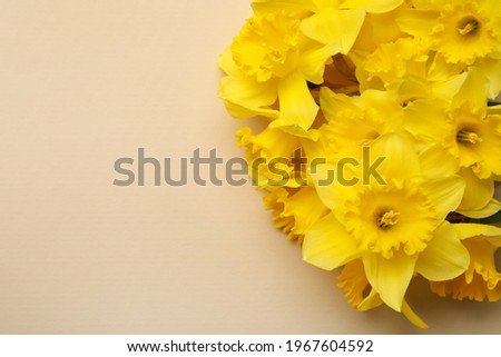 Similar – Image, Stock Photo Bright Yellow Daffodil