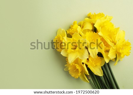 Similar – Image, Stock Photo Bright Yellow Daffodil