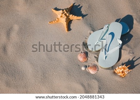 Stylish flip flops, starfish and sea shells on beach, flat lay. Space for text Stock fotó © 
