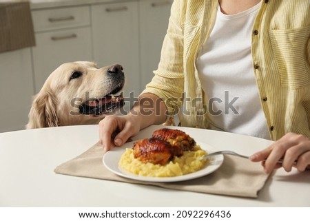 Cute dog begging for food while owner eating at table, closeup 商業照片 © 